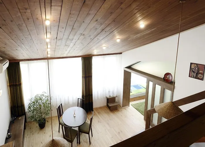 Artistic Penthouse ソフィア