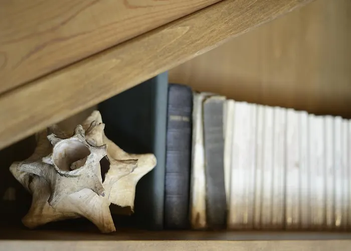 アパート Artistic Penthouse ソフィア