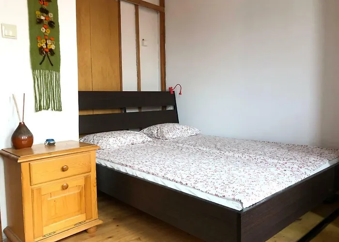 Artistic Penthouse ソフィア